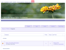Tablet Screenshot of nosurrenderbreastcancersupportforum.com